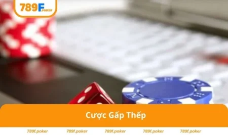 Cược gấp thếp