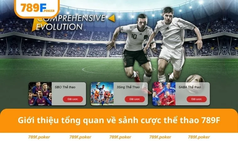 Thể Thao 789F 1 Giới thiệu tổng quan về sảnh cược thể thao 789F