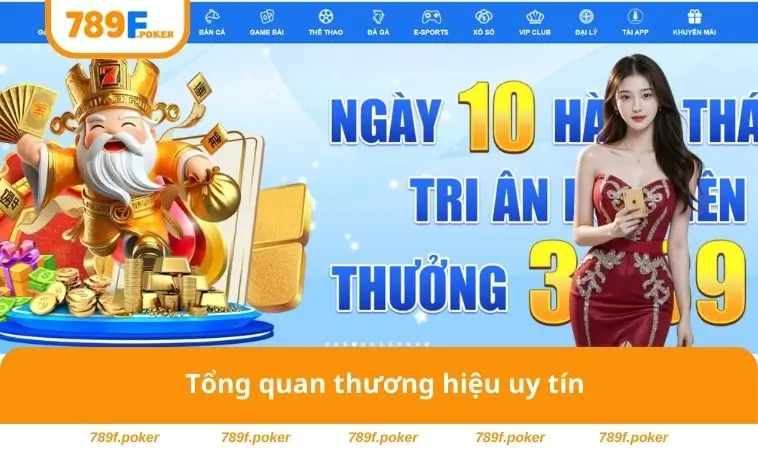 789F – Nền Tảng Cá Cược Hàng Đầu Với Kho Game Đa Dạng 17 Tổng quan thương hiệu uy tín